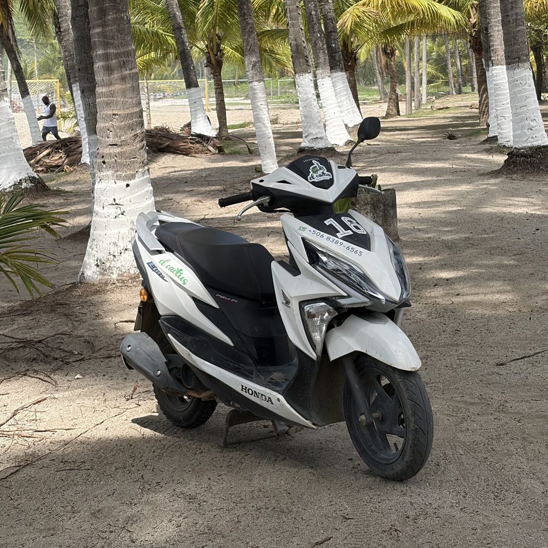 Scooter Rental