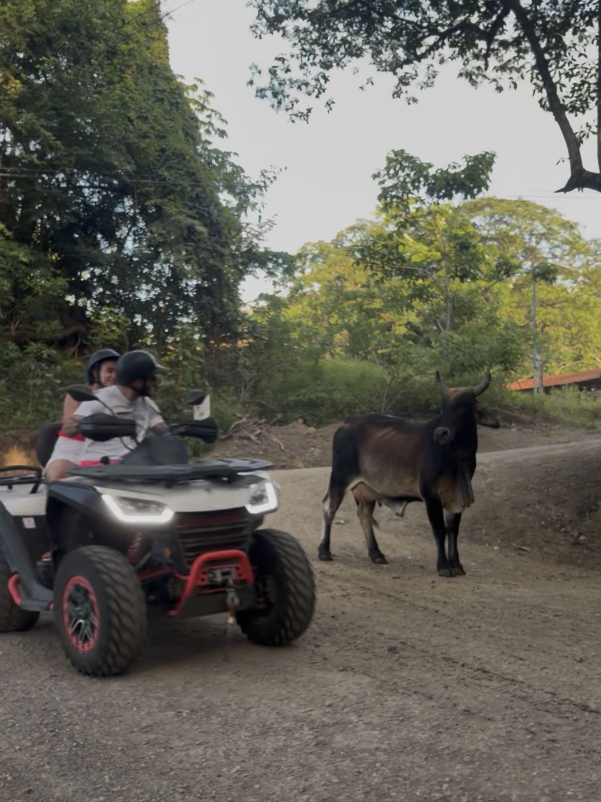 ATV tour on a countryside trail